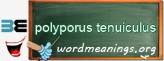 WordMeaning blackboard for polyporus tenuiculus